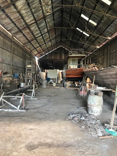 Imagen 3 de 11 de Depósito - Tigre