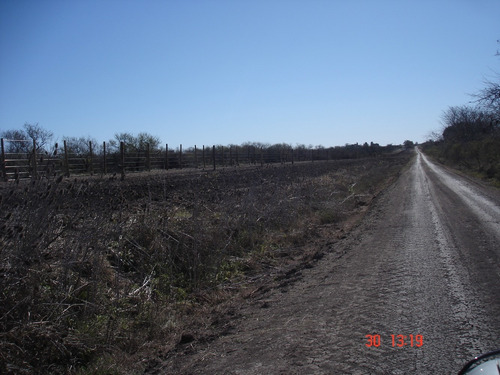 Imagen 4 de 12 de Campo Ganadero 42 Has E.rios Altamirano Sud Ideal Ganadería