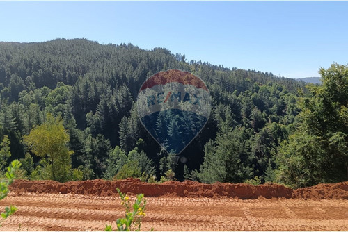 Se Vende Parcela San Ignacio