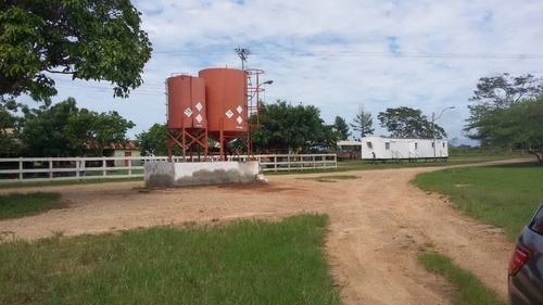 Imagen 2 de 6 de Finca Con Cantera De Piedra Picada. Oportunidad Para Inversión A 18km De Maturin. Negociable