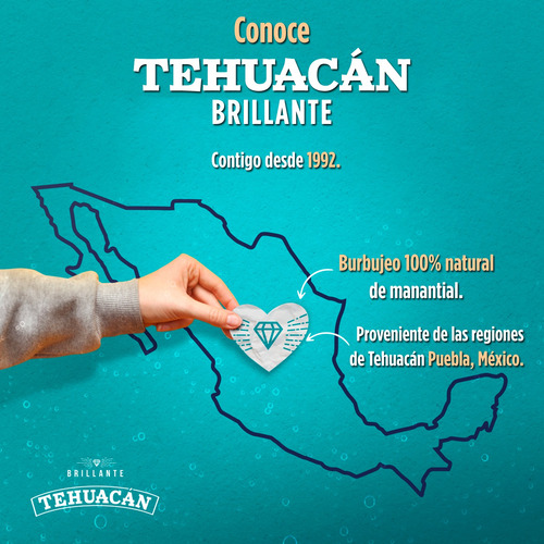 Refresco Tehuacan Brillante Sabor Piña 355ml 24 Pack
