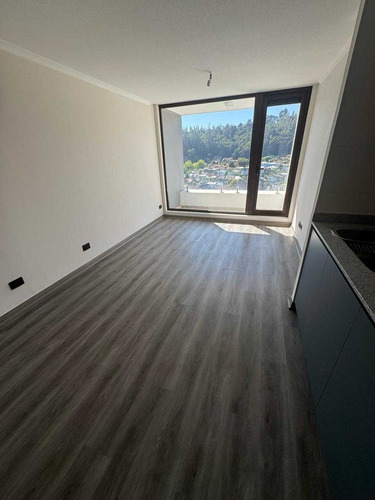 Dpto En Arriendo En Concepcion Av Roosevelt (84923)