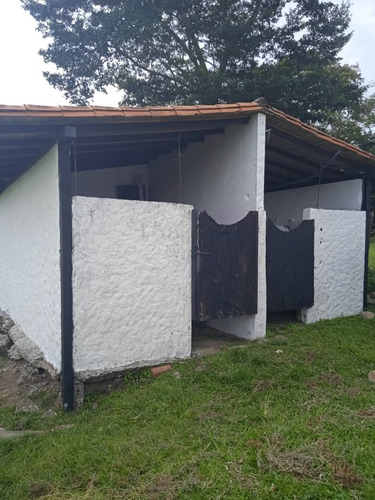 Imagen 21 de 28 de Vende Espectacular Finca La Esperanza En El Municipio San Cristobal, Estado Tachira. Lino Juvinao