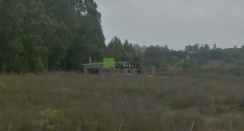 Imagen 7 de 11 de Buena Fracción Con Arroyo Sobre Ruta 9