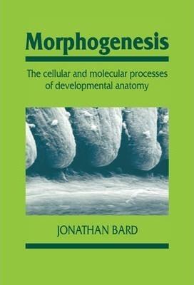 Developmental And Cell Biology Series: Morphogenesis: The...