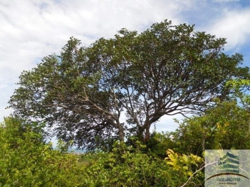 Imagem 3 de 8 de Lotes A Venda Em Genipabu, Extremoz