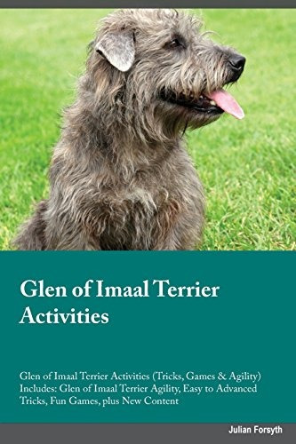 Glen Of Imaal Terrier Activities Glen Of Imaal Terrier Activ