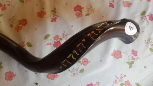 Imagen 4 de 5 de Shofar