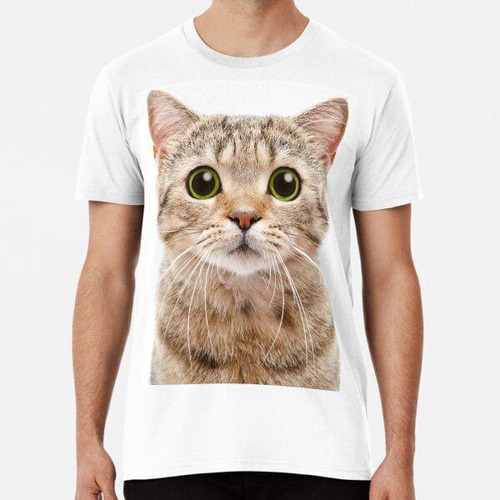 Remera Cute Cat Photo Algodon Premium