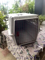 Comprar Kennel Para Traslados De Mascotas Serie 300 (usado)