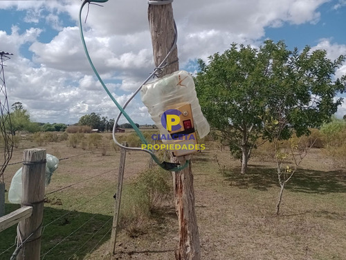 Imagen 7 de 13 de 7 Hectáreas Y Media Con Casa A Terminar