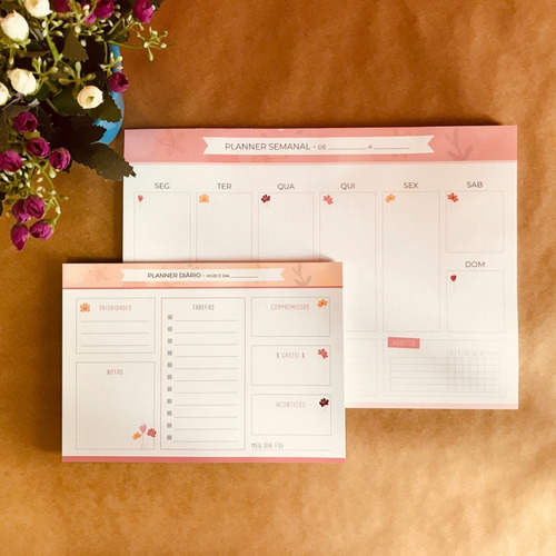 Kit Planners - Diário E Semanal