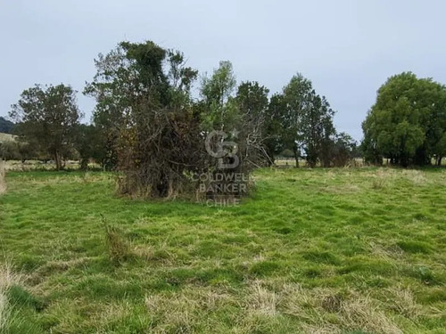 Parcela En Frutillar: Naturaleza Y Conectividad