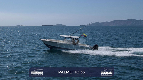 Imagen 1 de 8 de Lancha Palmetto 33