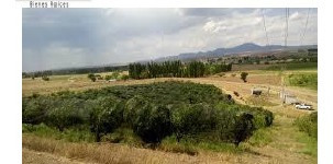 Imagen 1 de 7 de Se Venden 4 Terrenos, Chihuahua