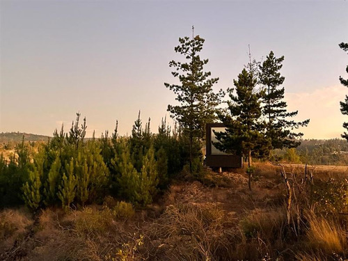 Sitio En Venta En Matanzas (incluye Tiny Cabin)