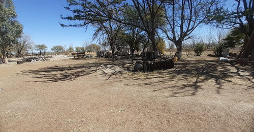 Terreno Con Nogales En Venta En San Pedro De Las Colonias, Coahuila