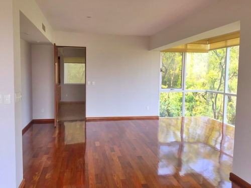 Imagen 12 de 25 de Espectacular Departamento En Bezares Con Vistas Verdes 360 G