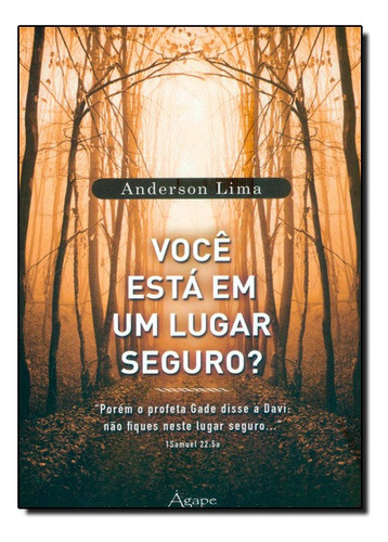 Você Está Em Um Lugar Seguro?, De Anderson  Lima. Editora Agape - Novo Seculo Em Português