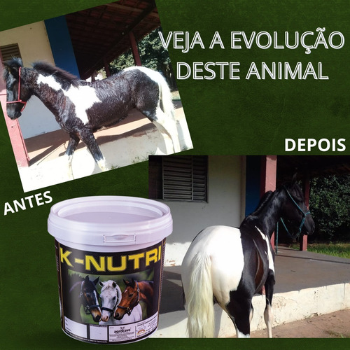 K-nutri Suplemento P Ganho De Massa Muscular C Creatina 10kg