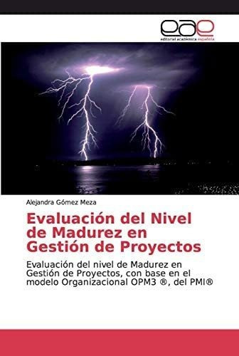 Libro Evaluación Del Nivel Madurez Gestión Proyecto&..
