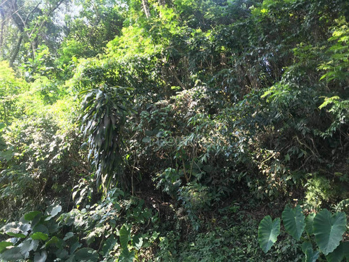 Imagem 4 de 5 de Granja Viana Terreno - Te9080