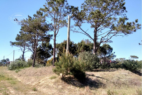 Terreno - Punta Del Diablo