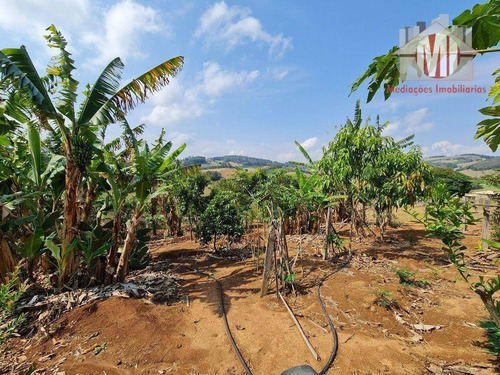 Imagem 22 de 30 de Linda Chácara Com 4 Dormitórios, Móveis Planejados, Varanda, Pomar, Bem Localizado, À Venda, 6000 M² Por R$ 800.000 - Rural - Socorro/sp - Ch1086