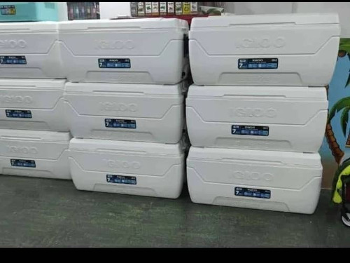 Cava Igloo 150qt 142 Litros Marine Grande