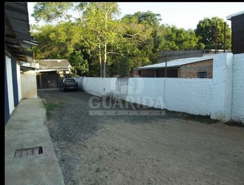Terreno - Vila Nova - Ref: 288095 - V-mi13561