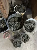 Comprar Cadenas Antiguas. Bronce. Y Repuestos De Arañas