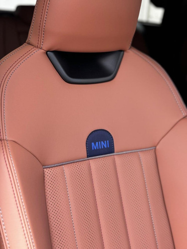 Mini Countryman E