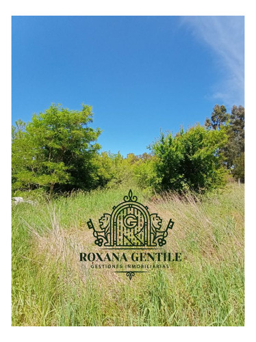 Imagen 5 de 5 de Casa Quinta En Venta De 13049m2 Ubicado En Tandil