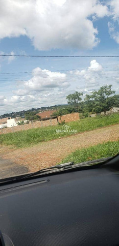 Imagem 4 de 14 de Lote À Venda No Novo Igarapé - Te0209