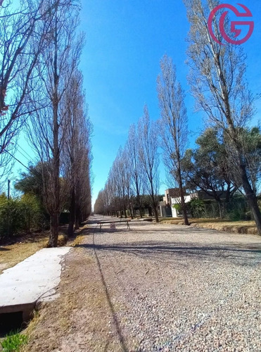 Imagen 7 de 12 de Greenwood Inmobiliaria Vende Ultimo Lote Disponible En Barrio Rincon Cepas De Malbec - Vistalba