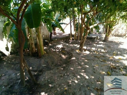 Imagem 8 de 8 de Granja A Venda São José De Mipibu