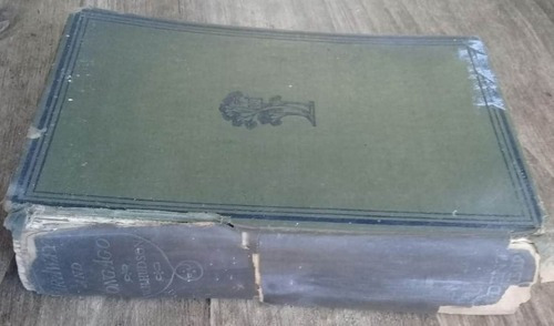 W. H. Hudson Far Away And Long Ago 1ra Ed. Libro Kktus