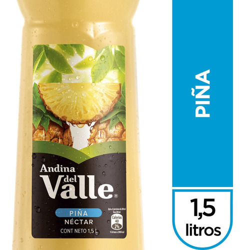 Andina Del Valle Piña Botella 1,5l