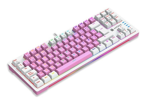 Teclado Mecánico Antryx Chrome Storm Mk840 Pink Blue Switch