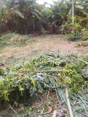 Imagen 4 de 6 de Terreno En Tonsupa Acepto Vehículo Credito Biess