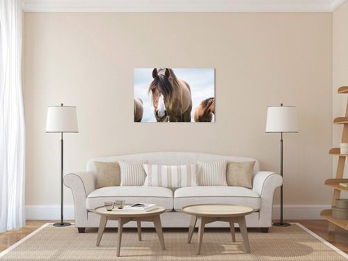 Cuadro Canvas Lienzo Decorativo Fotografía Caballo Patagonia