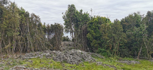 Sitios En Venta En Hualaihue
