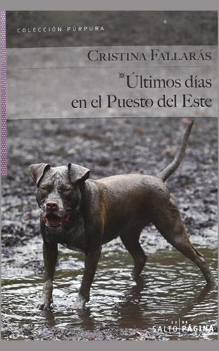 Últimos días en el puesto del este, de Fallarás, Cristina. Editorial Salto de Página, tapa blanda en español, 2013