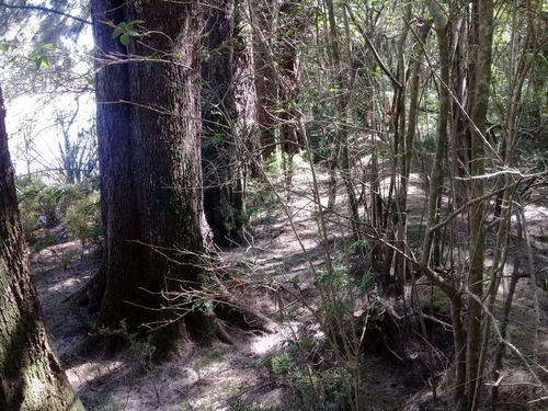 Imagen 4 de 7 de Terreno - Carapachay