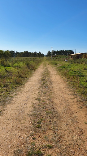 Terreno Lotes Federacion - Entre Rios 1080m2 -a 1,5km De Termas!