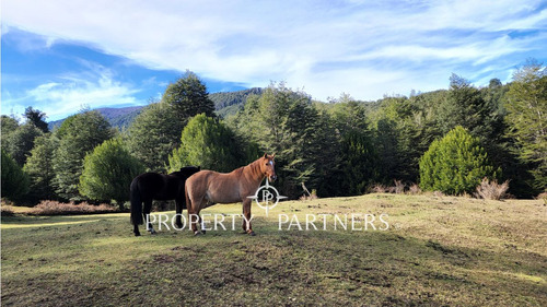 6 Há De Campo Full Cordillerano 