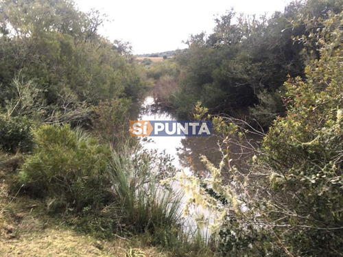 Imagen 5 de 8 de Campo En Venta, Paraje La Coronilla, Maldonado