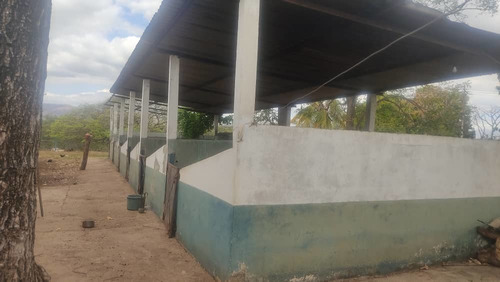 Imagen 16 de 30 de En Venta Agropecuaria, Sector El Jobal-aragua Att- Eb-ln
