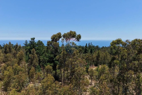 Extraordinario Terreno En La Polcura, 6.575 M²