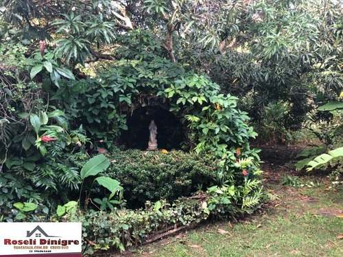 Imagem 9 de 30 de Vendida - Casa Encontro Das Águas 4 Suites Sendo 1 Externa - Preisa De Ajustes - V137c3 - 68703207